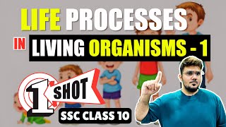 Life Processes in Living Organisms  1  SSC Class 10 ONE SHOT  Maharashtra State Board [upl. by Nnaynaffit]