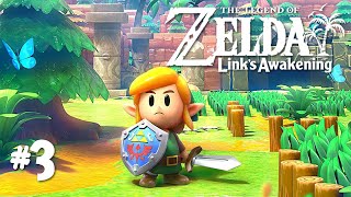 The Legend of Zelda Links awakening Part 3 [upl. by Noiwtna]