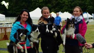 European Open Agility 2016  Lucie Eva and Tereza Czech Republic [upl. by Entirb]