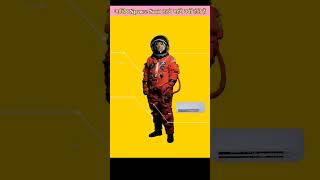 How much does NASA s space suit cost shorts nasa viral [upl. by Ellord26]