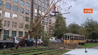 Nubifragio a Milano albero cade sui tralicci del tram in zona Corso Sempione linee ferme [upl. by Raychel726]