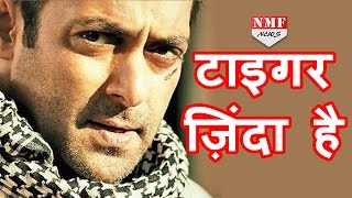 मरा नहीं अभी Tiger Zinda hai Christmas 2017 में करेगा वापसी [upl. by Geer212]