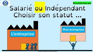 Salarié ou Indépendant choisir son statut éco droit [upl. by Ailadi]