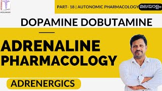 Adrenergic Drugs Pharmacology of Adrenaline Adrenergic Agonists Pharmacology Malayalam [upl. by Ojyma826]