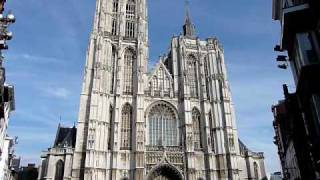 kathedraal Antwerpen [upl. by Enirac]