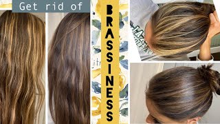 TONING your hair at home  STEP by STEP how to get rid of BRASSINESS in Highlights [upl. by Norvell270]