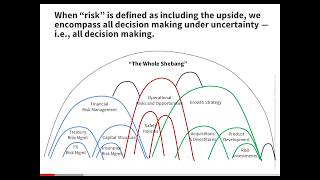 The Upside of Risk  SDG Decision Education Center [upl. by Eirak]