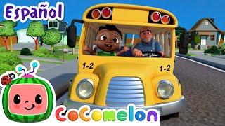 Las ruedas del bus V4  CoComelon en Español  Canciones Infantiles y de Cuna [upl. by Janaya570]