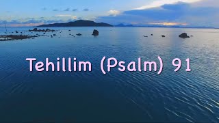 Tehillim Psalm 91 [upl. by Nnylyar]