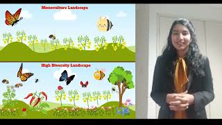 Evaluating Floristic Diversity and Pollinator Communities  Sindhu Sheoran  3MT 2022 [upl. by Norrv896]