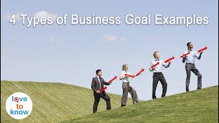 4 Examples Of Business Goals [upl. by Llered]