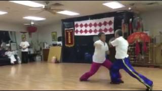 XingYiQuan An Shen Pao 安身炮 [upl. by Ayna]