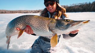 Huge Pike in Super Shallow Water Underwater Strikes [upl. by Jonati]