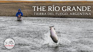 Fly Fishing for HUGE SEARUN BROWN TROUT by Todd Moen [upl. by Yznel]