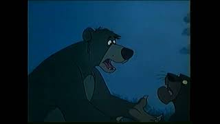 The Jungle Book  Bagheera Talks With Baloo About Mowgli [upl. by Luo]