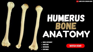 THE HUMERUS ANATOMY [upl. by Armond]