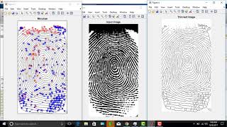 Fingerprint Minutiae Extraction using MATLAB [upl. by Otrebron753]