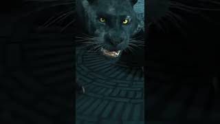 panther  midjourney hybridanimals [upl. by Calderon]