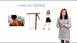 L’aire du trapèze [upl. by Estelle258]