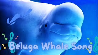 Beluga Whale Song for Kids  Nursery Rhymes  Learn animals whale Sing Along with Hog the Hedgehog [upl. by Fridell]