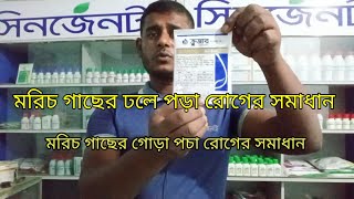 মরিচ গাছের গোড়া  পচার সমাধান  Syngenta Krishi TV [upl. by Shah]