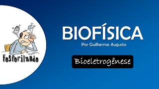 BIOELETROGÊNESE Equação de Nernst  BIOFÍSICA [upl. by Imuyam]