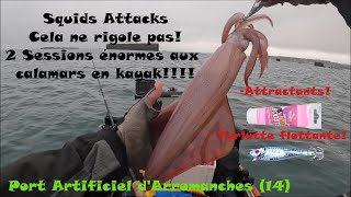 Squids Attacks Sessions Enormes de pêche en kayak du calamar dans le port artificiel dArromanches [upl. by Nwahsir]