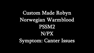 Symptoms Of PSSM2 Canter Issues Custom Made Robyn Video 2 [upl. by Ehr]