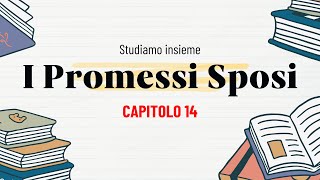 I Promessi Sposi  Capitolo 14 [upl. by Eiznyl]