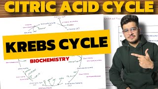 Krebs Cycle Biochemistry  Citric Acid Cycle  TCA Cycle [upl. by Marlen434]