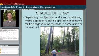 Silviculture 101 Systems and Terminology [upl. by Dupuy297]