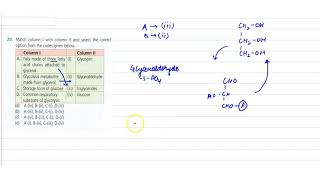 Match column I with column II and select the correct option from the codes given below [upl. by Jobe]