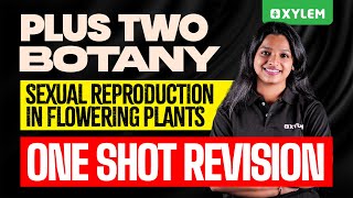 Plus Two Botany  Sexual Reproduction in Flowering Plants  One Shot Revision  Xylem Plus Two [upl. by Frager]