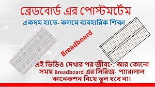 Complete guide for beginners to using a breadboardproject boardনতুনদের জন্য ব্রেড বোর্ড শিক্ষা। [upl. by Ruhtua596]