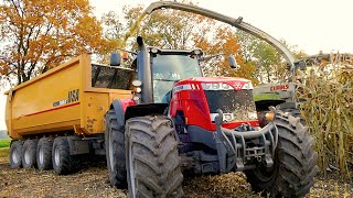 Mais hakselen Van Bakel Dairy 2015  Claas Jaguar 980 MF 8737 MF 8670 CAT 966M USA Equipment [upl. by Doti]