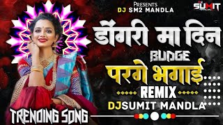 Dongri Ma Din Budge Parge Bhagai Dj Mandla Mix Song 2024 Djsumit Mandla Cg Mandla Mix Song 2024 [upl. by Aicetel]