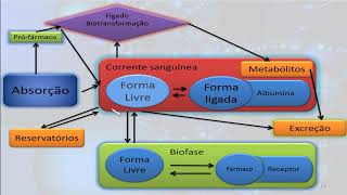 Aulas de Farmacologia Aula 02  Farmacocinética [upl. by Asim11]