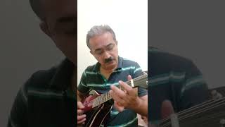 Dekha ek khwab from movie Silsila on Mandolin [upl. by Kronick]