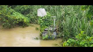 Cabarita River in Westmoreland Flooding Jamaica 🇯🇲 WOW [upl. by Volnay]