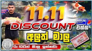 1111 මාලු Discount  Chamath Aquarium [upl. by Ardnyk]