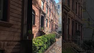 Brownstones in Brooklyn Heights nyc brooklyn brownstones travel usa reels city fall [upl. by Jayson]