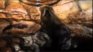 lascaux caves virtual tour [upl. by Allets83]