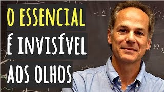 O Essencial é Invisível aos Olhos • MARCELO GLEISER [upl. by Aserret796]