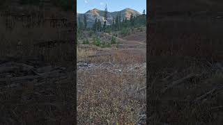 Montana Elk Hunt [upl. by Memory]