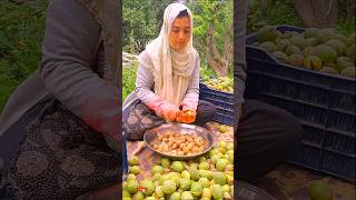 Walnut Harvesting  My Village Life  Best Vlogs  Short [upl. by Baler]