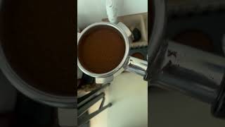 Making a Flat White With the Breville Barista Express coffee flatwhite [upl. by Prima]