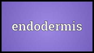 Endodermis Meaning [upl. by Amimej]