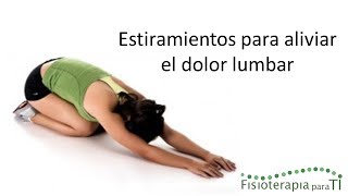 5 Estiramientos para aliviar el dolor lumbar  Fisioterapia para TI [upl. by Brad]