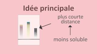 Chromatographie sur papier et sur couche mince  FuseSchool  Unisciel [upl. by Gamber822]