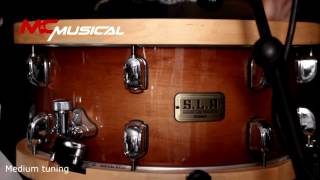 Tama SLP Studio Maple snare drum with Fernando Draganici [upl. by Schram]